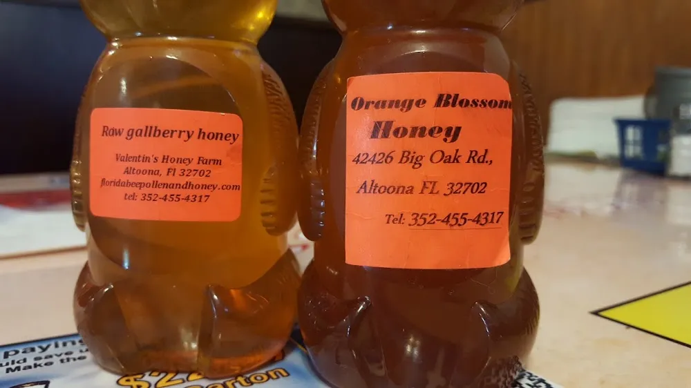 Raw Gallberry Honey and Orange Blossom Honey